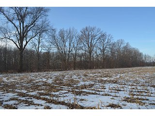 Property photo 18 - FARMLAND AUCTION, 60+/- Acres in 6 Tracts ranging from 4 to 20 acres & in combinations!
